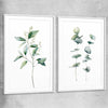 Floral print of Eucalyptus Pair One with white glass front frame