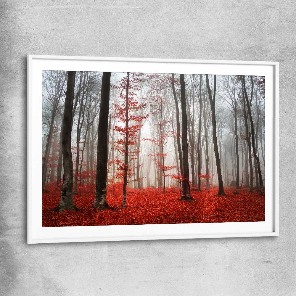 Floral print of Foggy Autumn Forest with white glass front frame