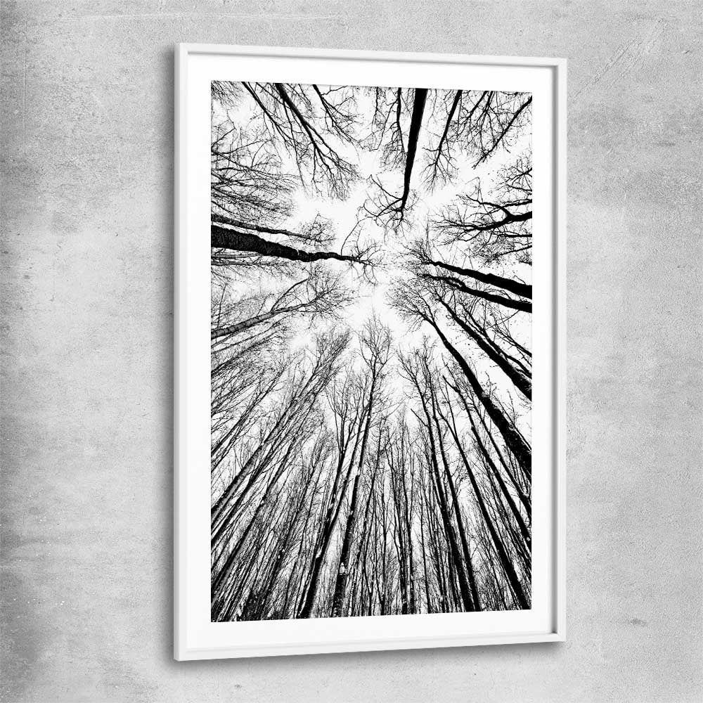 Floral print of Forest Sky with white glass front frame
