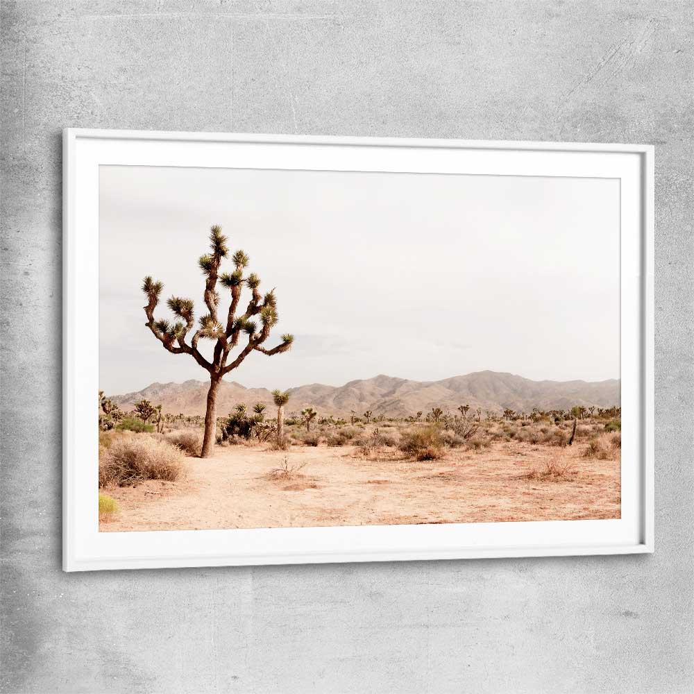 Floral print of Joshua Tree with white glass front frame