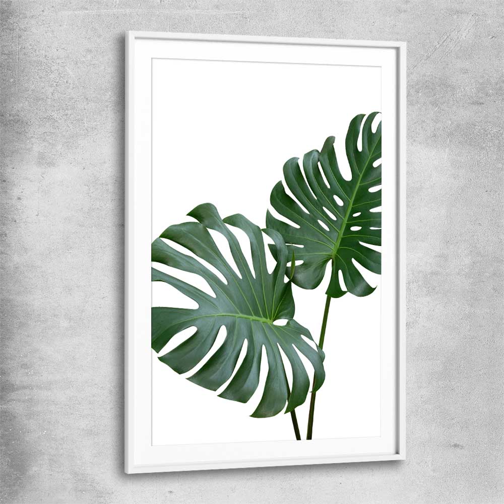 Floral print of Monstera Leaf One with white glass front frame