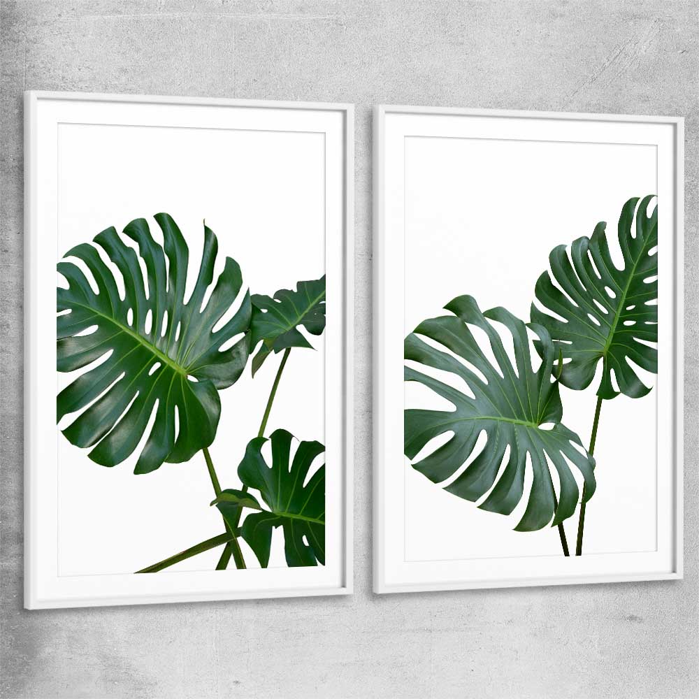 Floral print of Monstera Leaf Pair with white glass front frame