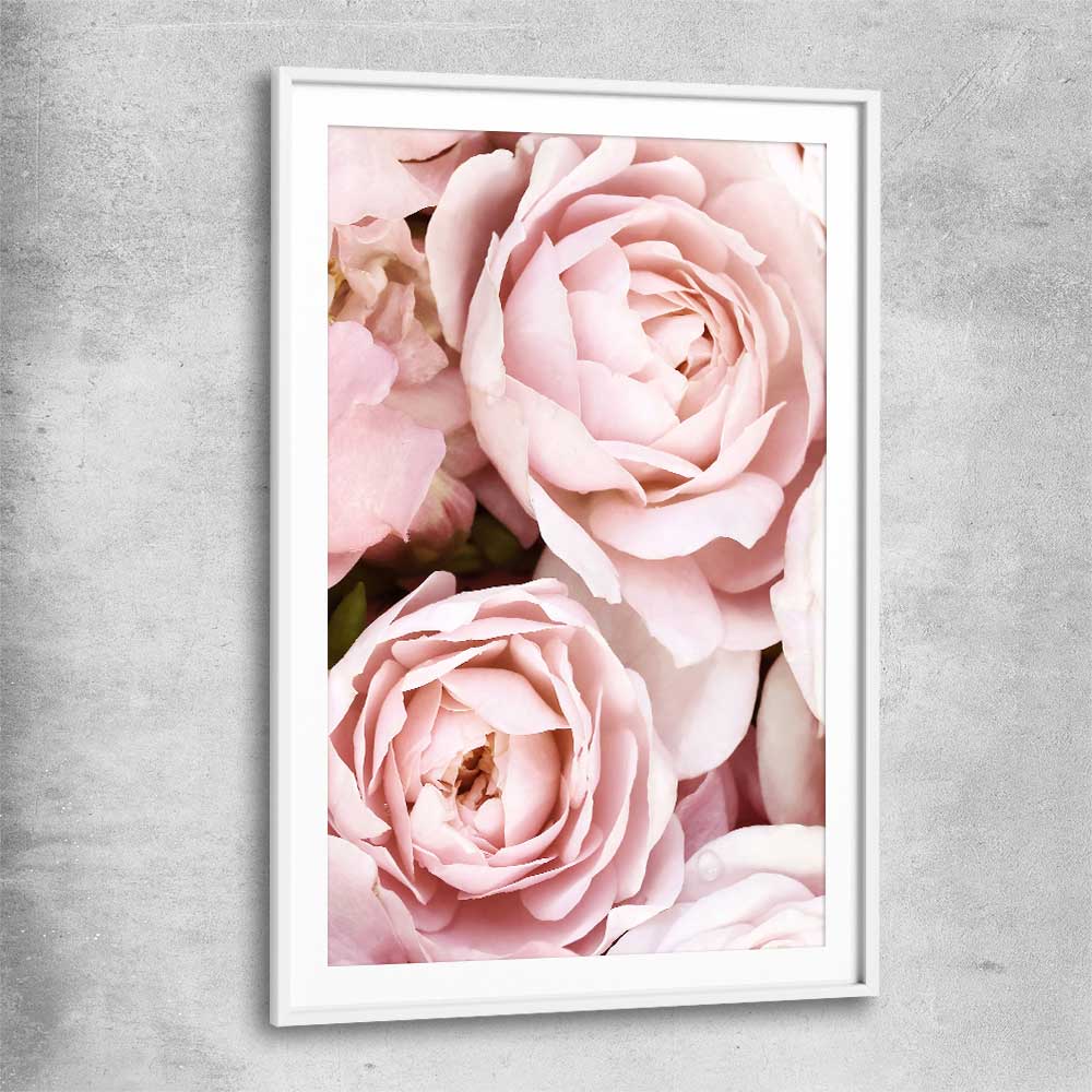 Floral print of Peony Pastel with white glass front frame