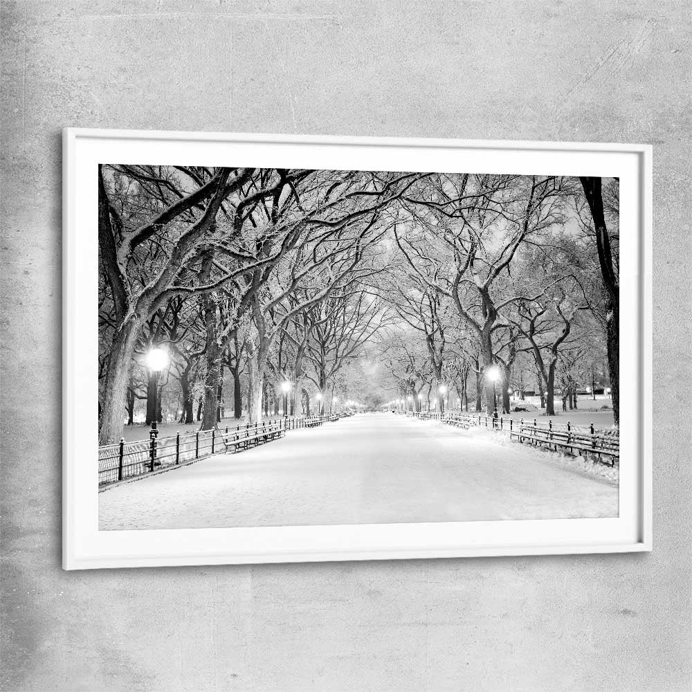 Floral print of Snowy Central Park with white glass front frame