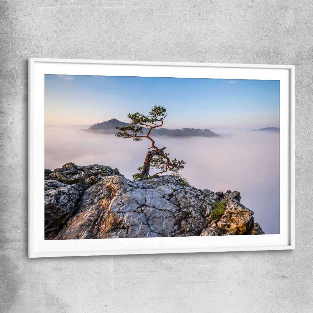 Floral print of Sokolica Peak Poland with white glass front frame