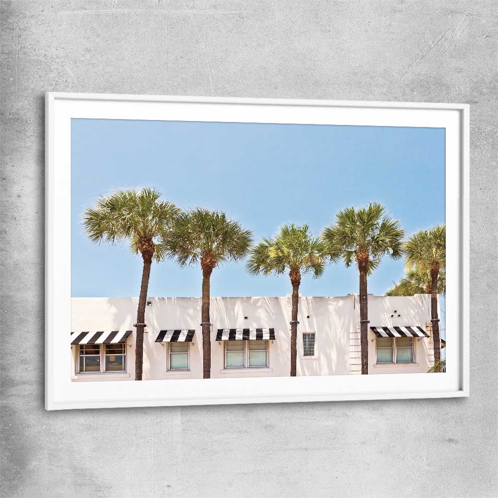 Floral print of South Miami Palms with white glass front frame