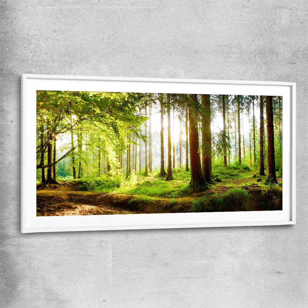 Floral print of Spring Forest with white glass front frame
