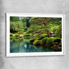 Floral print of Tokyo Bonsai Lake with white glass front frame