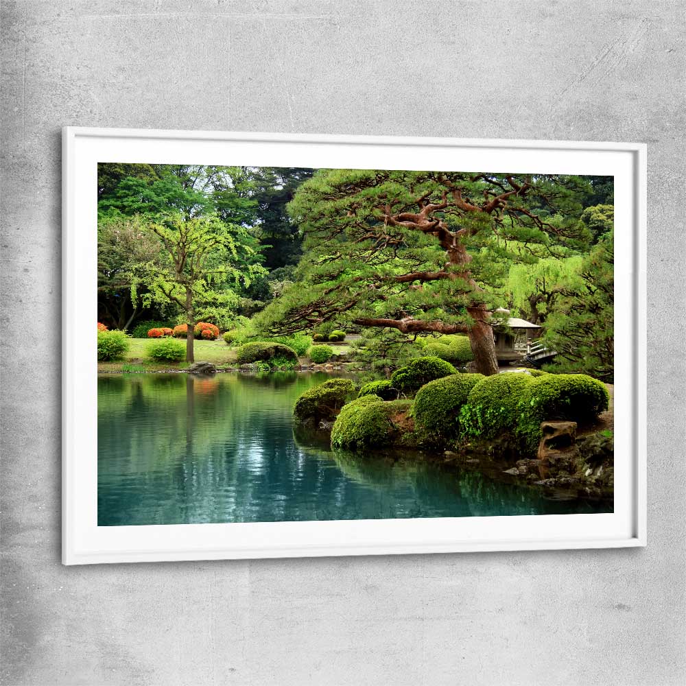 Floral print of Tokyo Bonsai Lake with white glass front frame