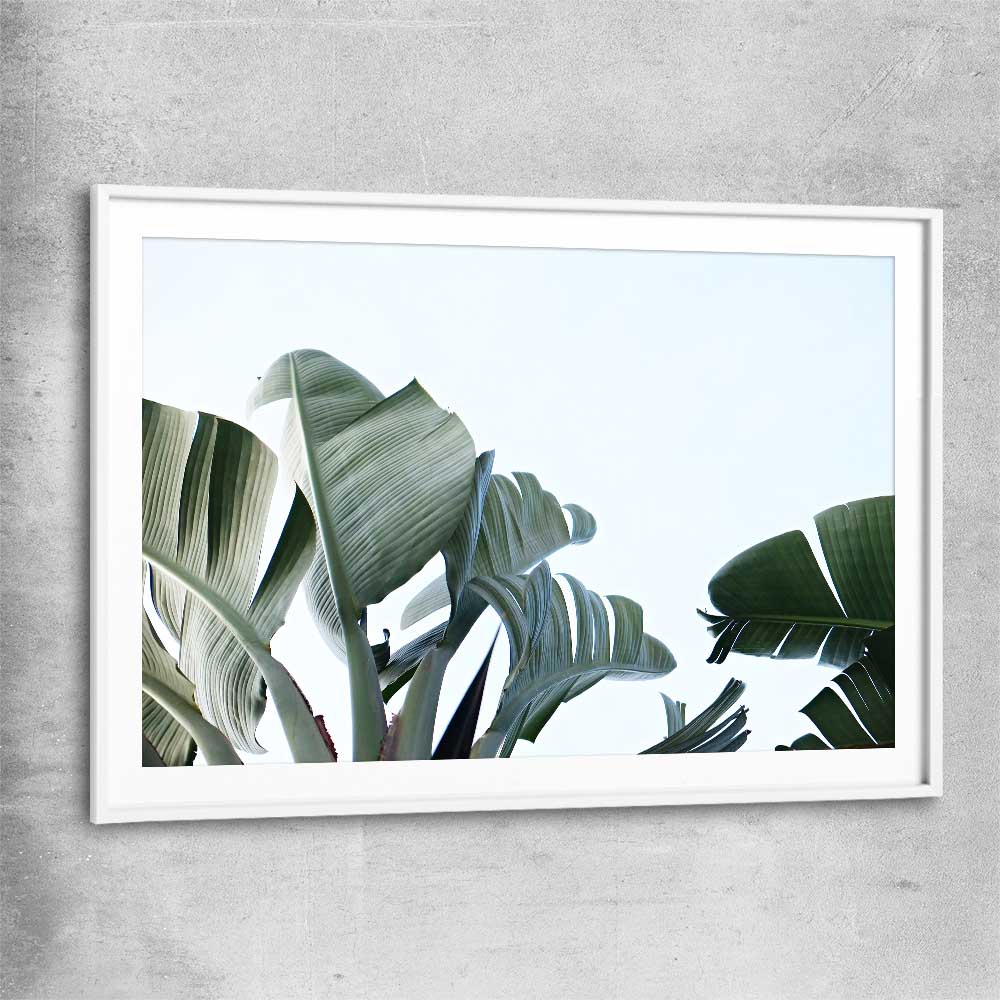Floral print of Tropical Banana Palm with white glass front frame