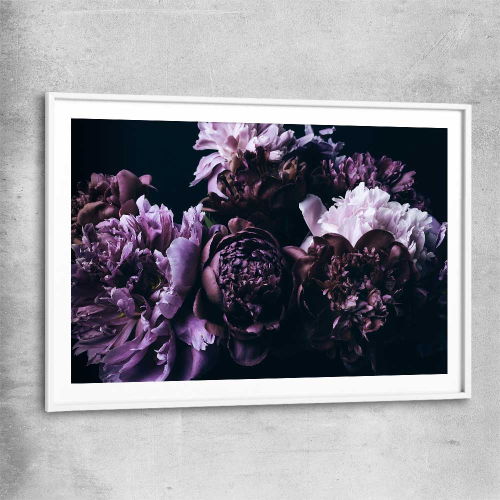 Floral print of Violet Peonies with white glass front frame