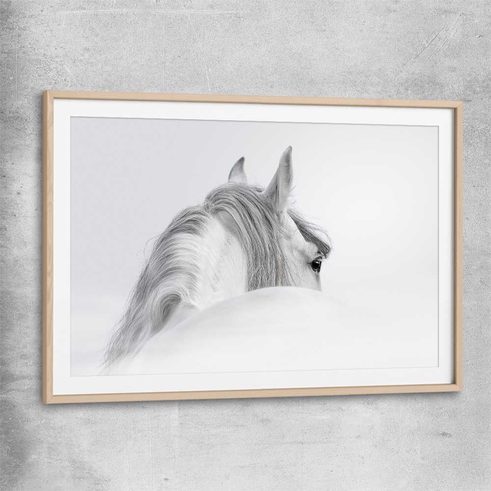 Animal wall art and canvas prints of Andalusian Horse with raw oak glass front frame