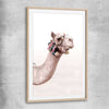 Animal wall art and canvas prints of Bohemian Camel with raw oak glass front frame