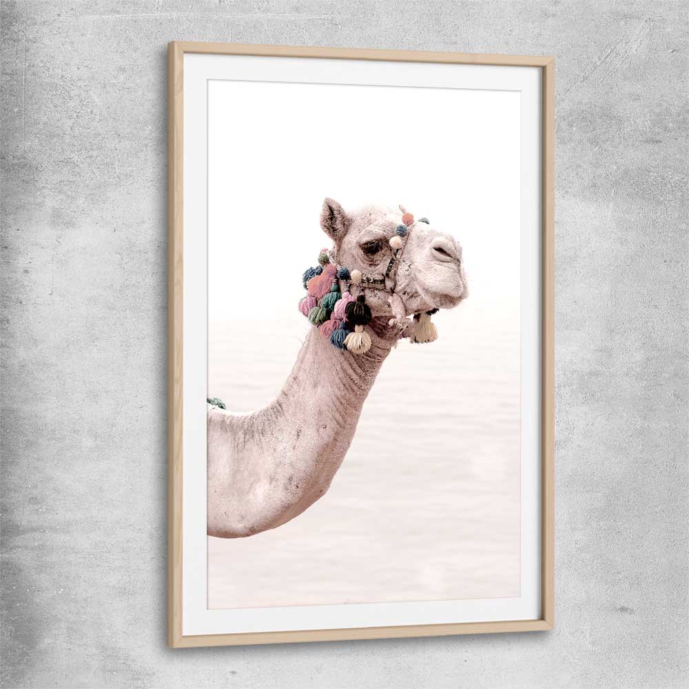 Animal wall art and canvas prints of Bohemian Camel with raw oak glass front frame