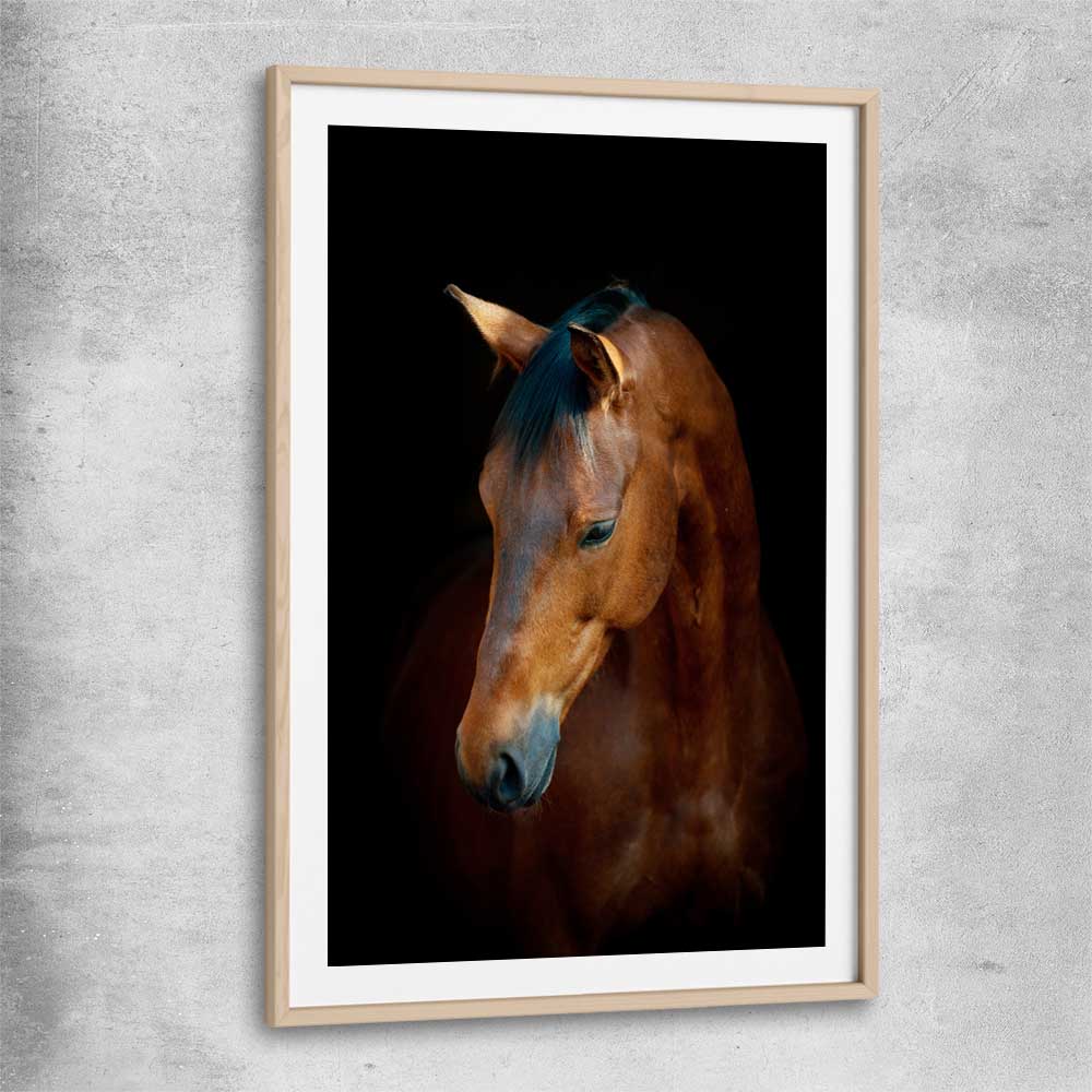 Animal wall art and canvas prints of Chestnut Horse Portrait with raw oak glass front frame