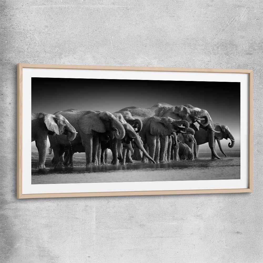 Animal wall art and canvas prints of Elephant Herd with raw oak glass front frame