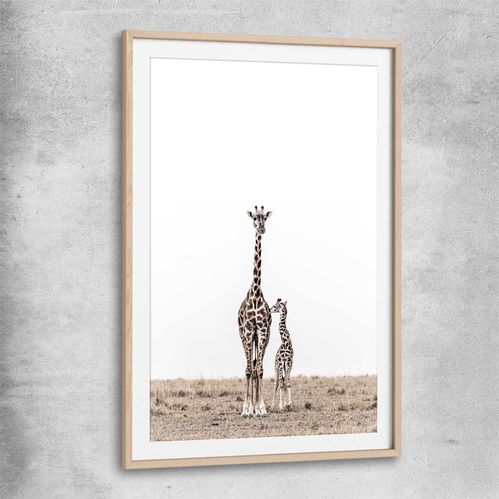 Animal wall art and canvas prints of Giraffe Affection with raw oak glass front frame