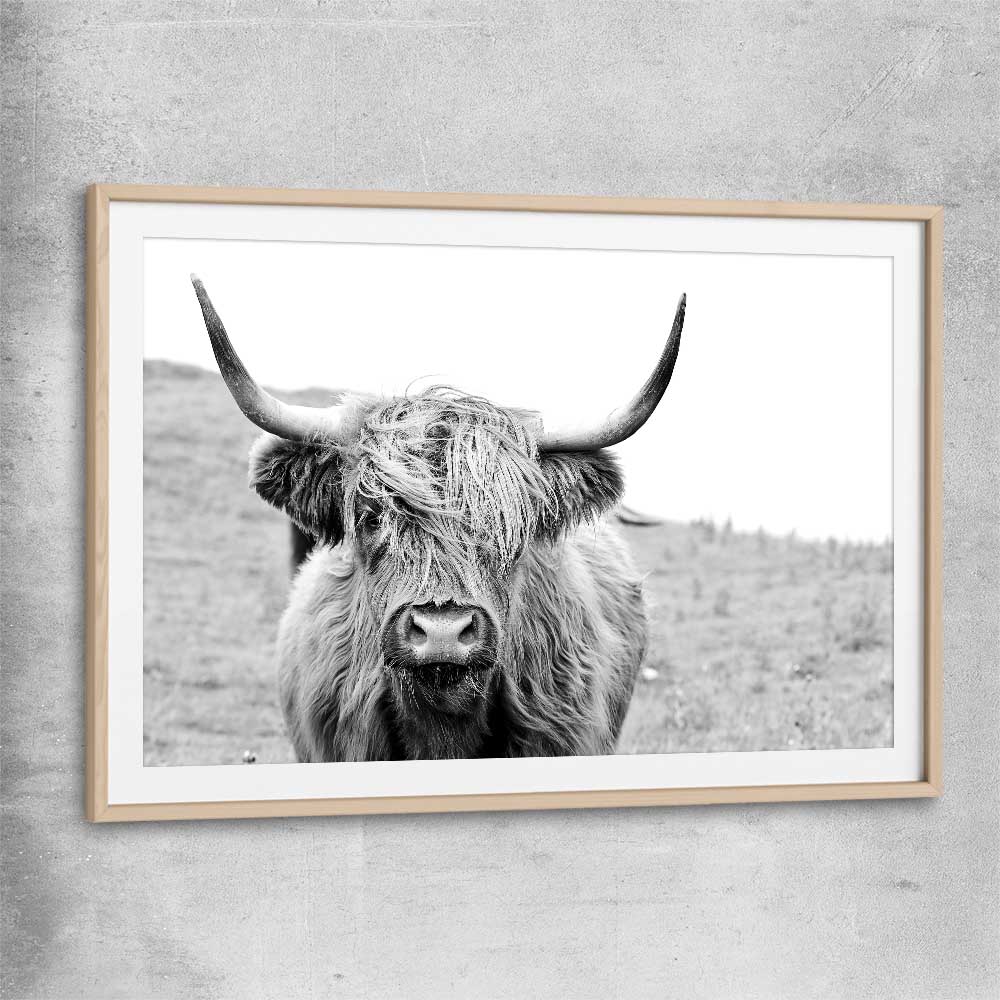 Animal wall art and canvas prints of Highland Hills with raw oak glass front frame