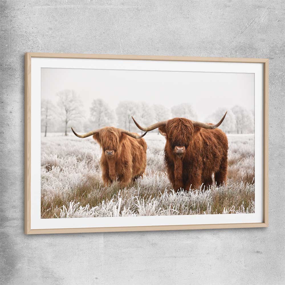 Animal wall art and canvas prints of Highland Pack with raw oak glass front frame