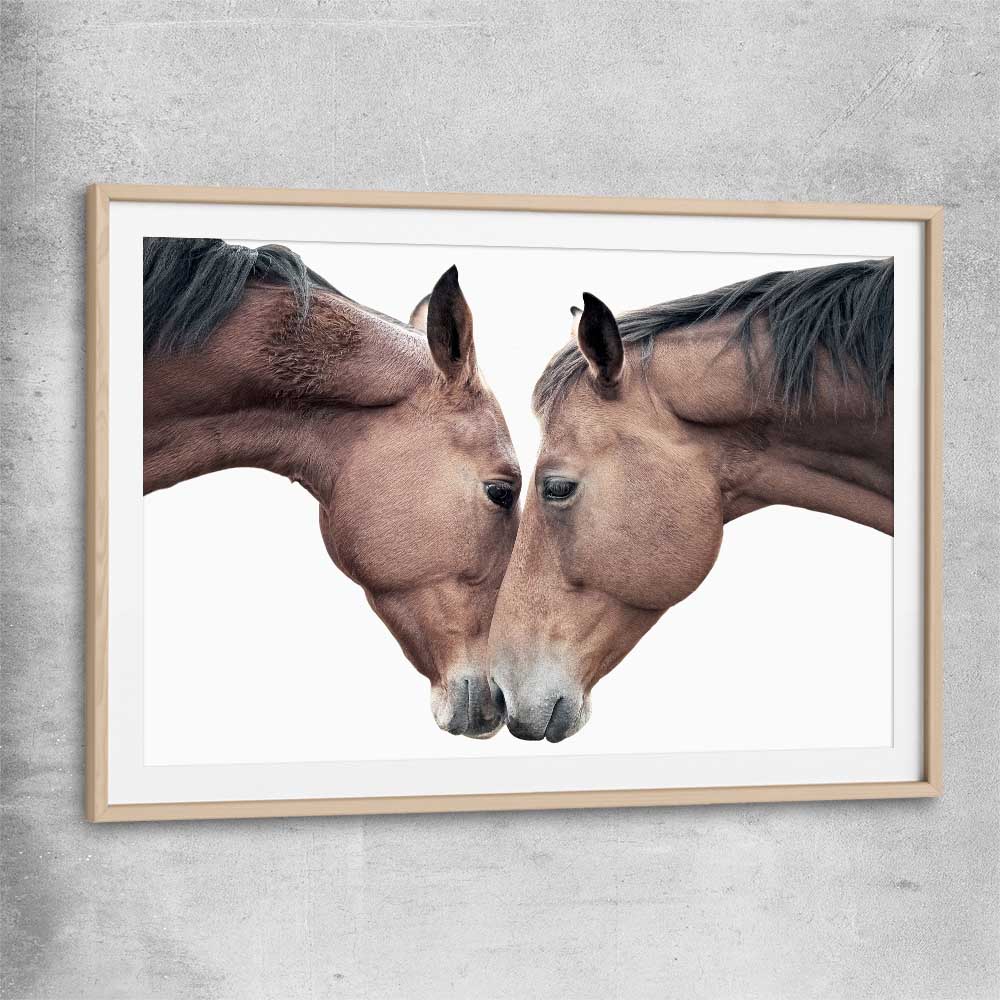 Animal wall art and canvas prints of Horse Affection with raw oak glass front frame