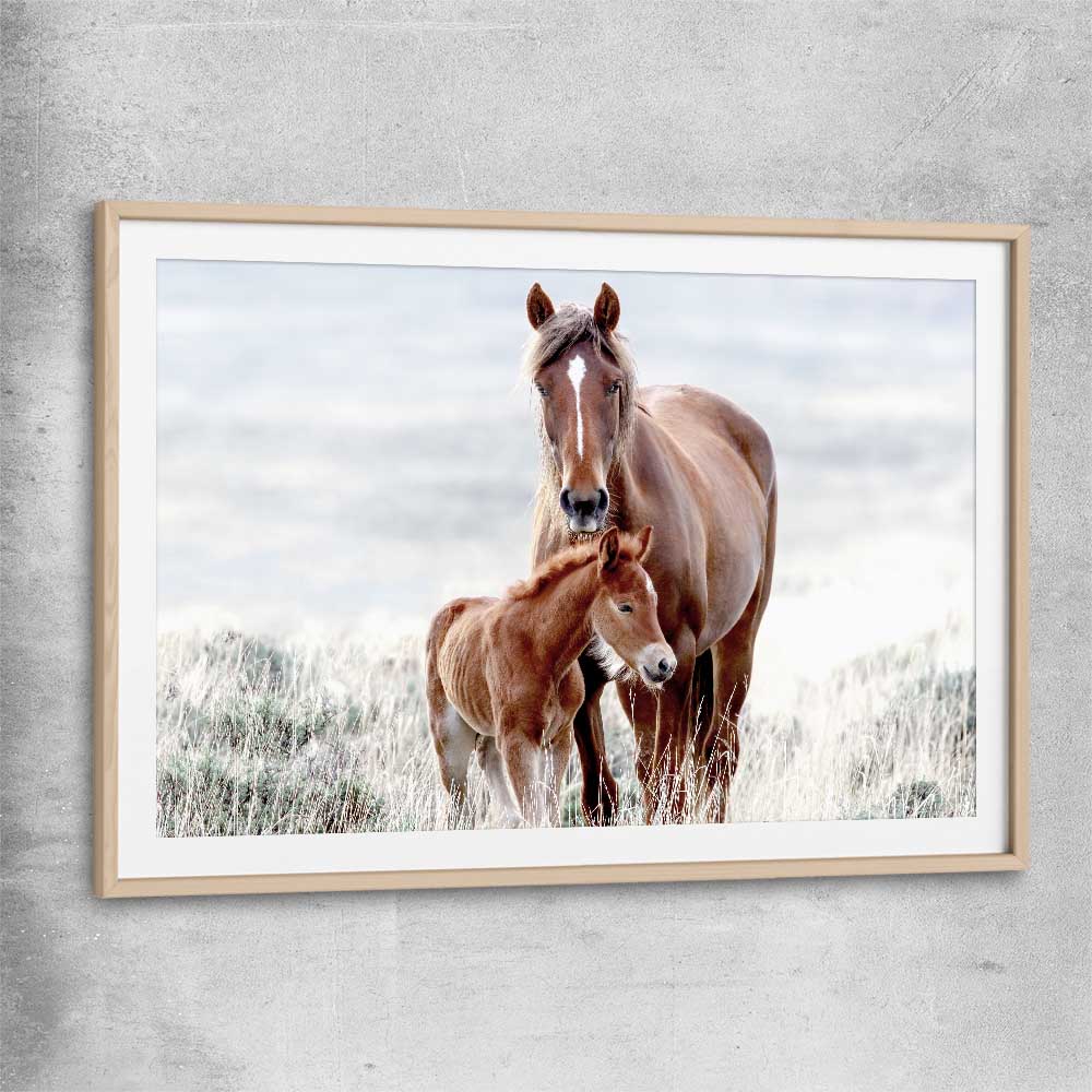 Animal wall art and canvas prints of Horse Love with raw oak glass front frame