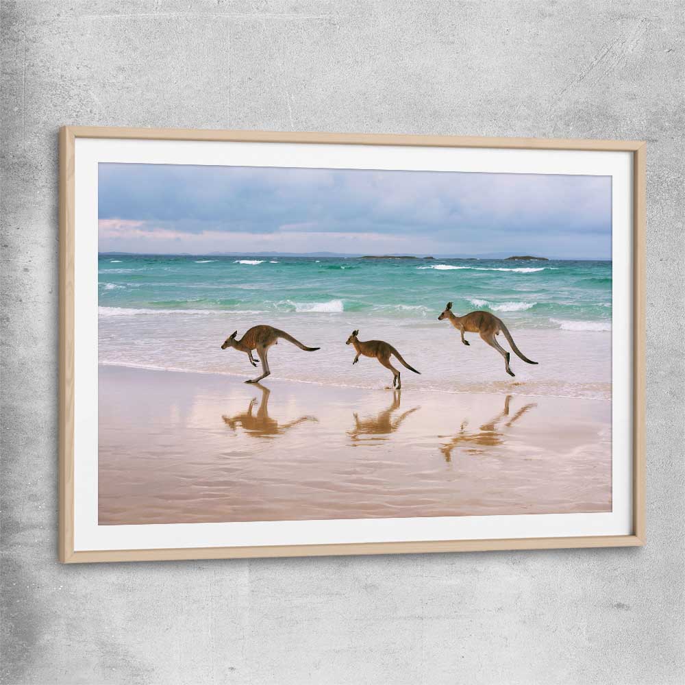 Animal wall art and canvas prints of Kangaroo Family with raw oak glass front frame