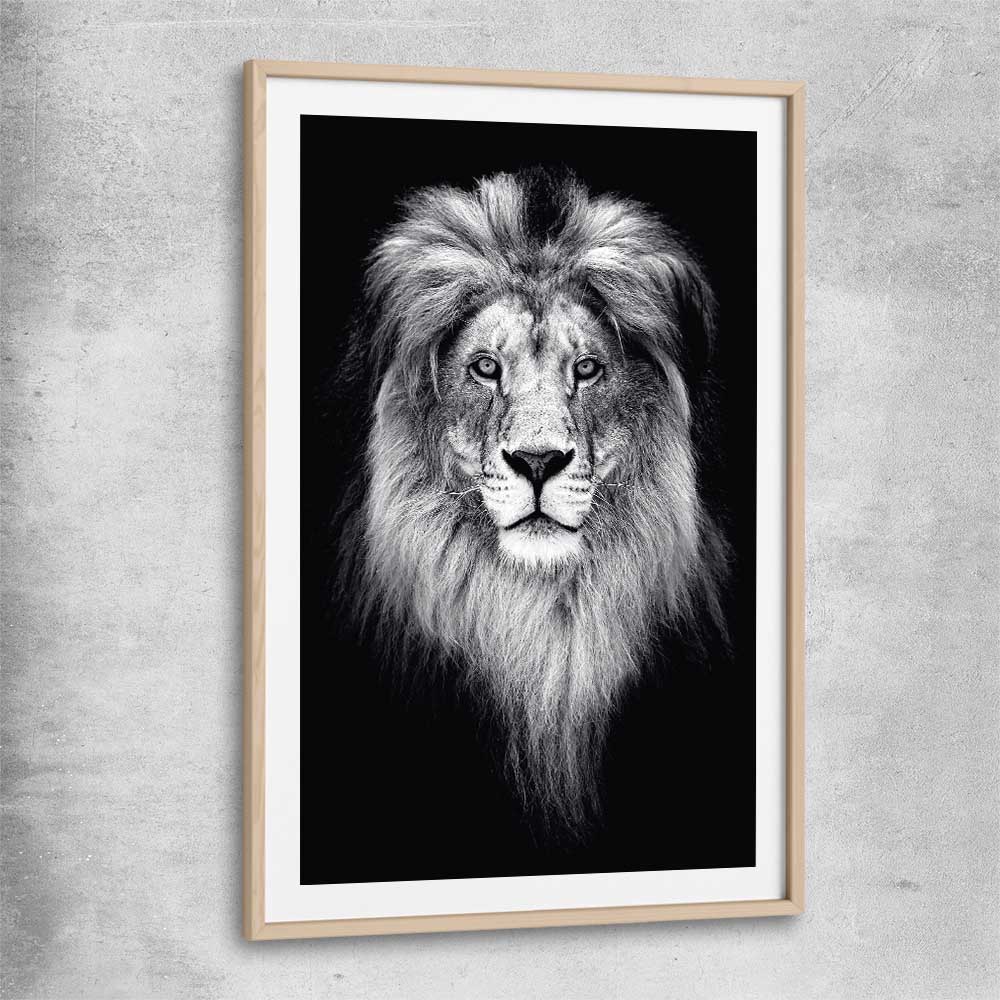 Animal wall art and canvas prints of Lion Gaze with raw oak glass front frame