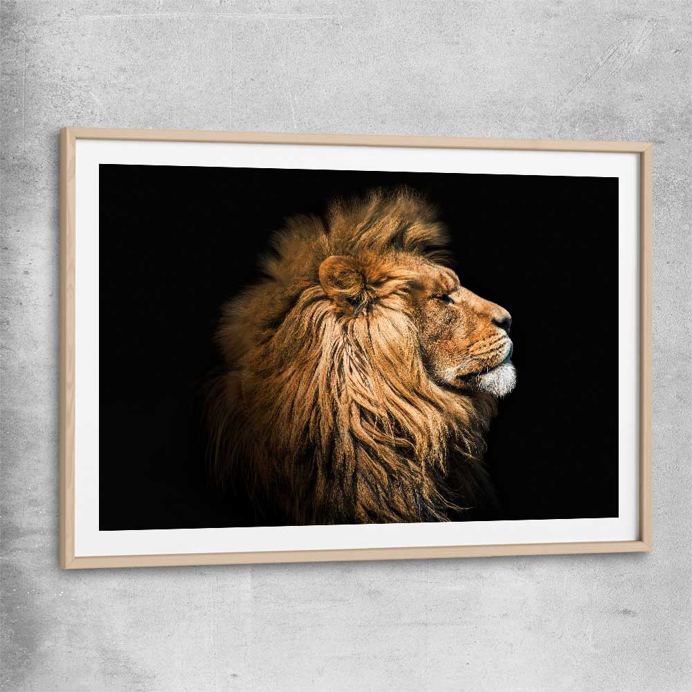 Animal wall art and canvas prints of Lion Mentality with raw oak glass front frame