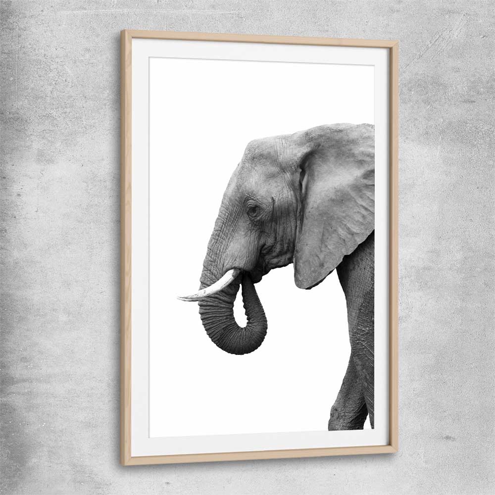 Animal wall art and canvas prints of Lone Elephant with raw oak glass front frame
