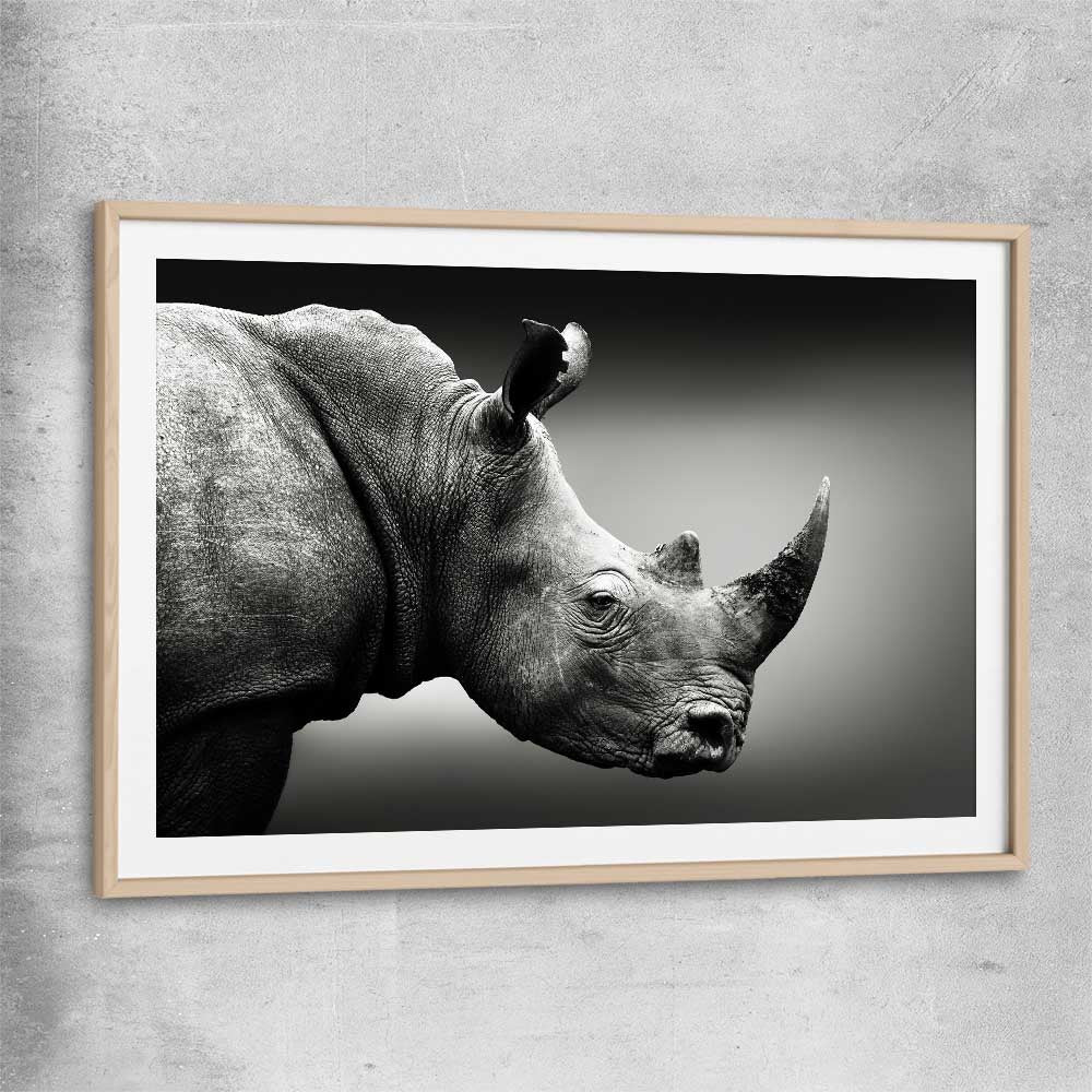 Animal wall art and canvas prints of Monochrome Rhinoceros with raw oak glass front frame