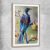 Animal wall art and canvas prints of New Zealand Tui with raw oak glass front frame