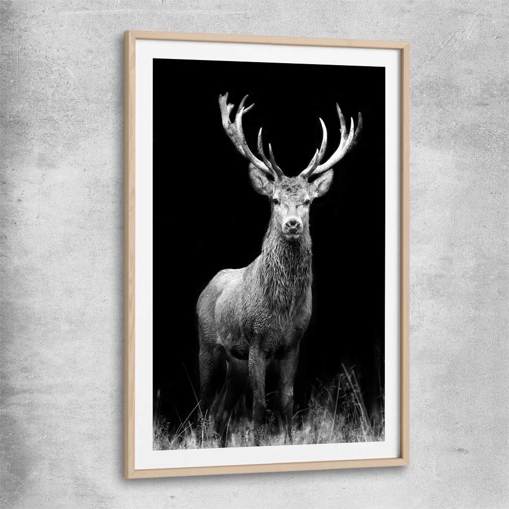 Animal wall art and canvas prints of Red Deer Gaze with raw oak glass front frame