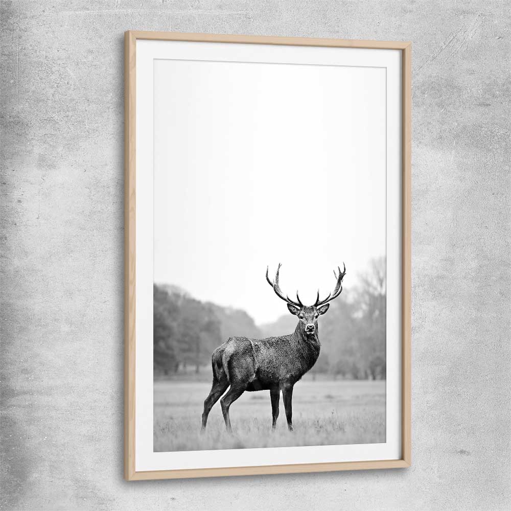 Animal wall art and canvas prints of Roaming Deer with raw oak glass front frame
