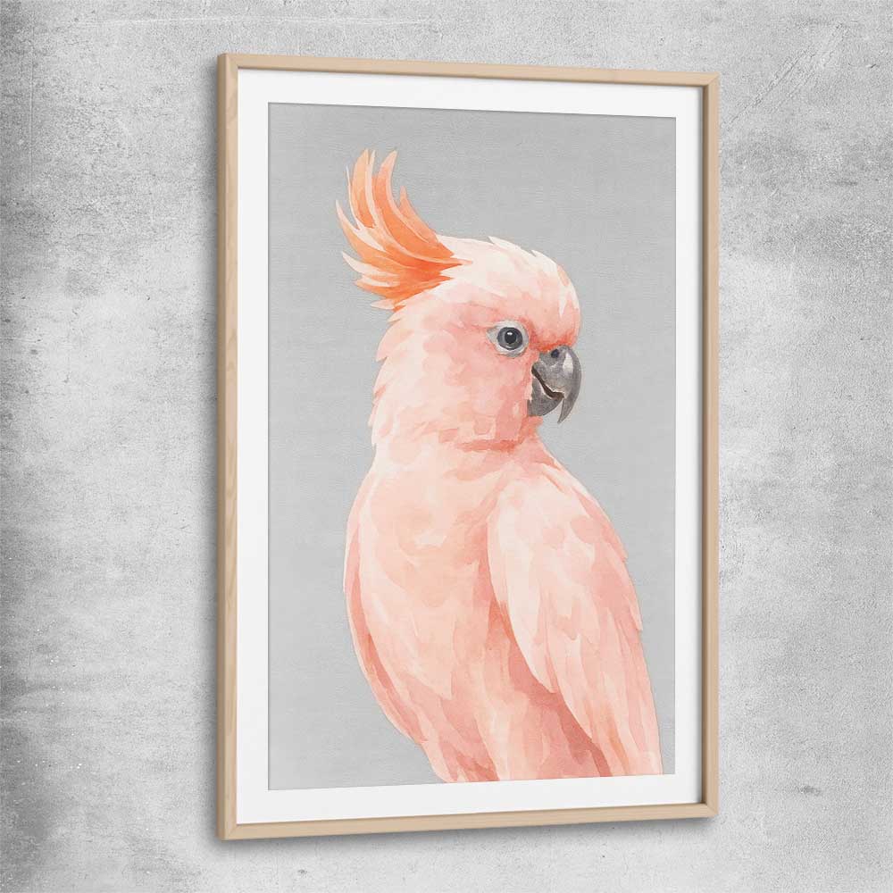 Animal wall art and canvas prints of Salmon-crested Cockatoo with raw oak glass front frame