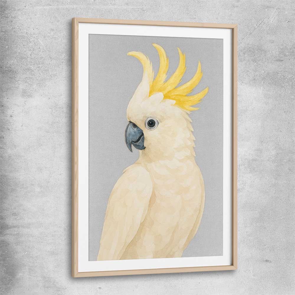 Animal wall art and canvas prints of Sulphur-crested Cockatoo with raw oak glass front frame