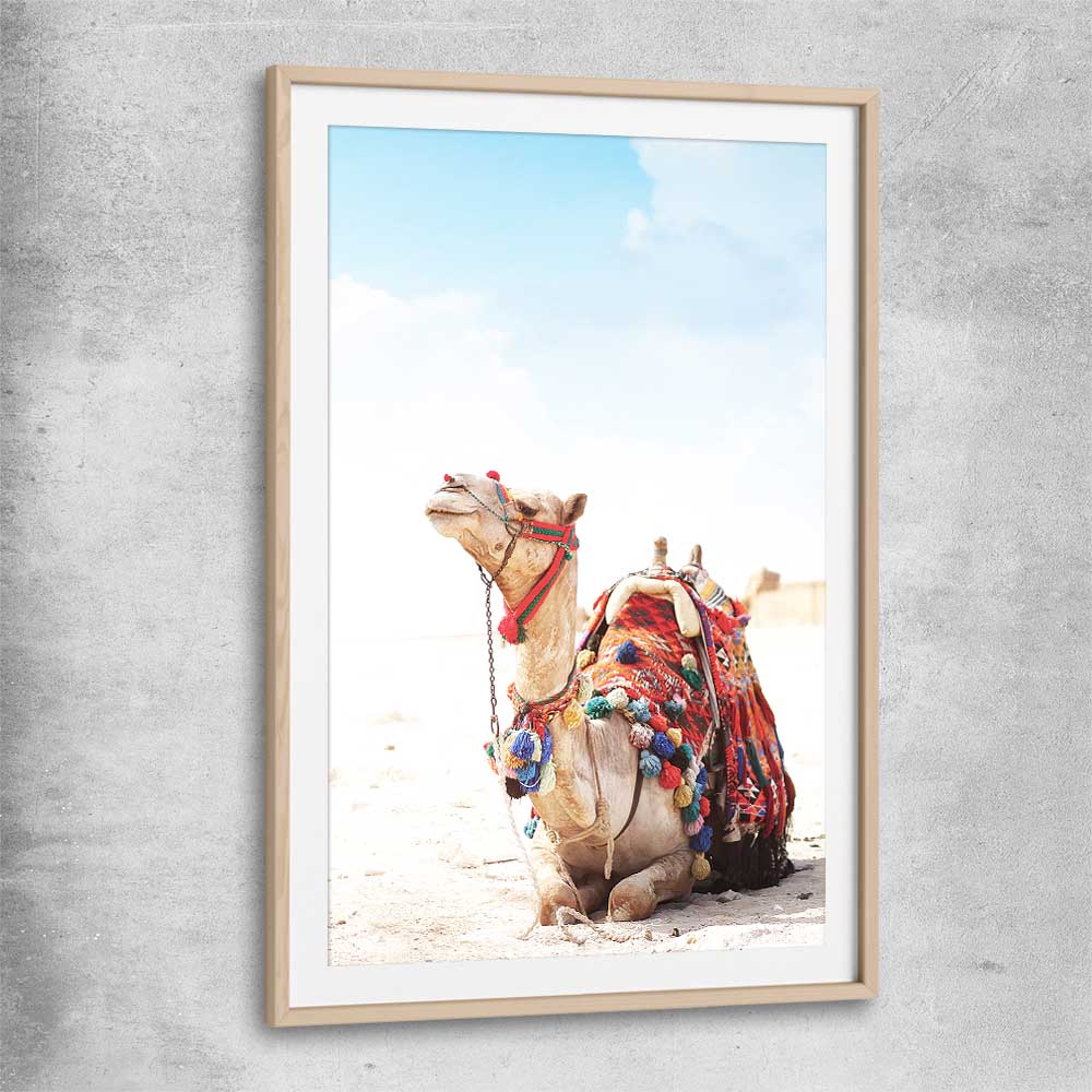 Animal wall art and canvas prints of Vibrant Camel with raw oak glass front frame