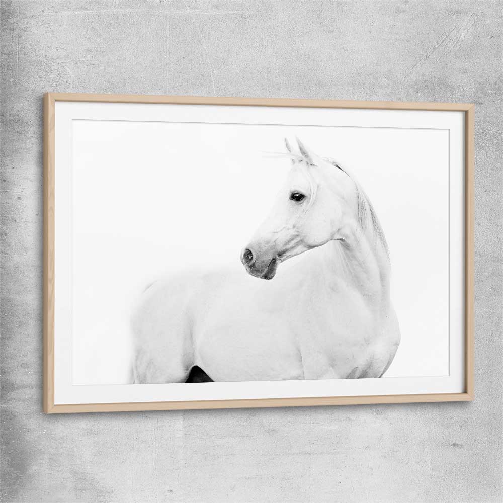 Animal wall art and canvas prints of White Horse with raw oak glass front frame