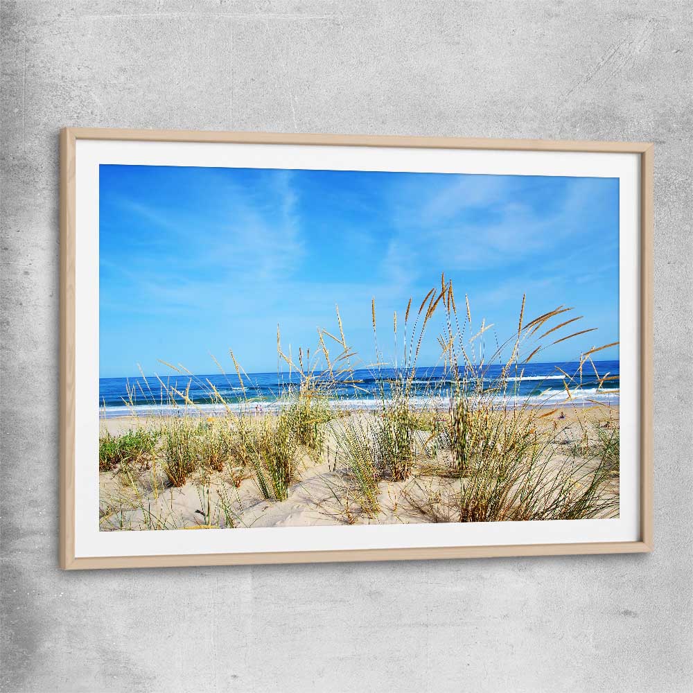 Beach and coastal wall art print of Algarve Dune Flora with raw oak glass front frame