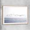 Beach and coastal wall art print of Seagull Flock with raw oak glass front frame