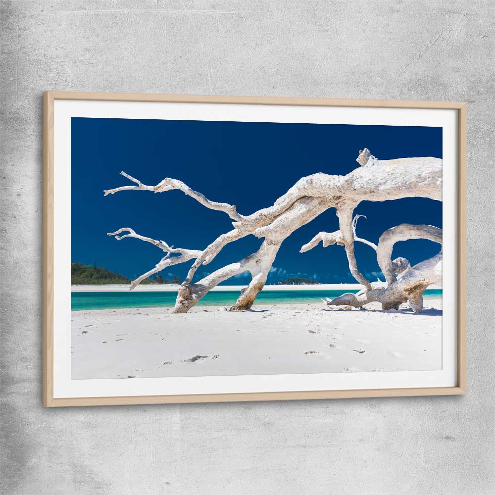 Beach and coastal wall art print of Whitsundays Driftwood with raw oak glass front frame