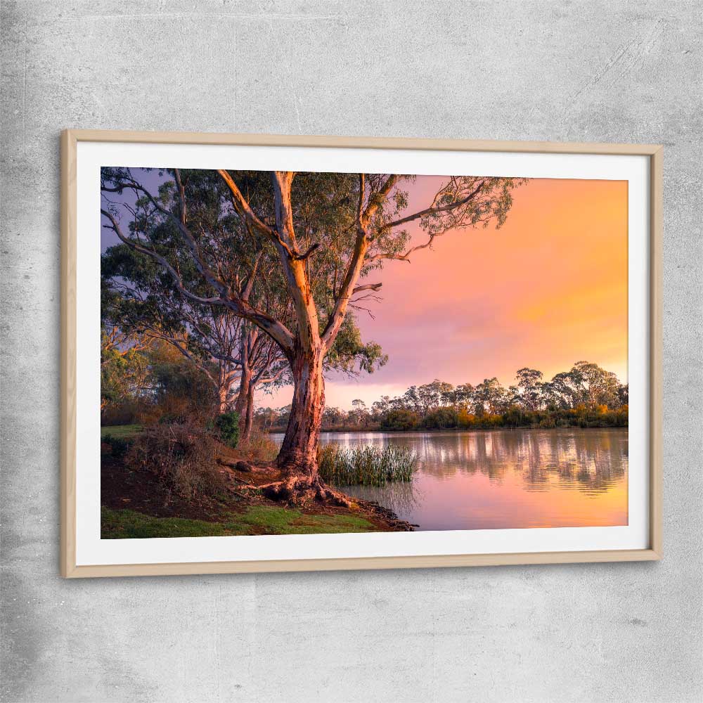 Floral print of Blissful River Sunset with raw oak glass front frame