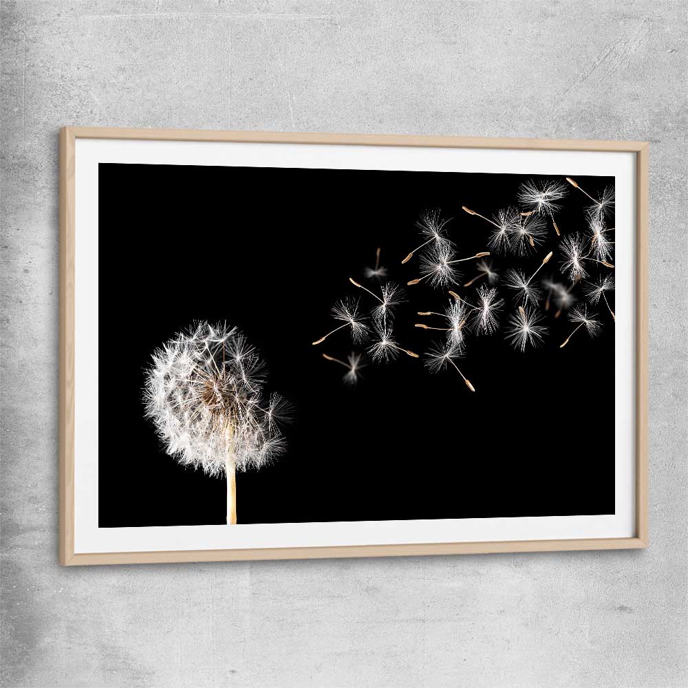 Floral print of Blowing Dandelion with raw oak glass front frame