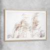 Floral print of Blowing Pampas with raw oak glass front frame
