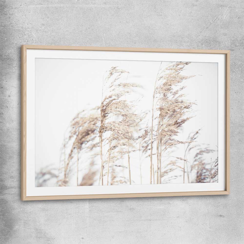 Floral print of Blowing Pampas with raw oak glass front frame