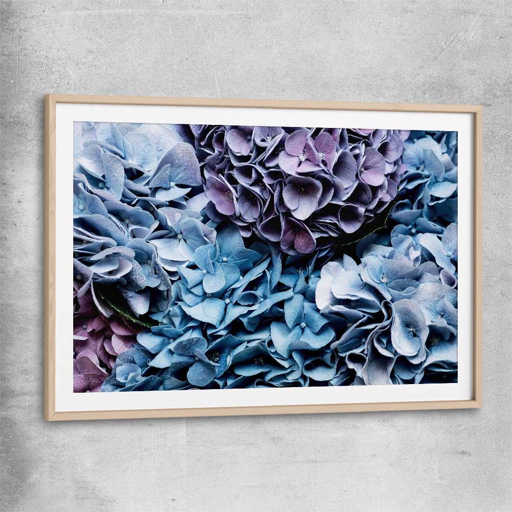 Floral print of Blue Hydrangea with raw oak glass front frame
