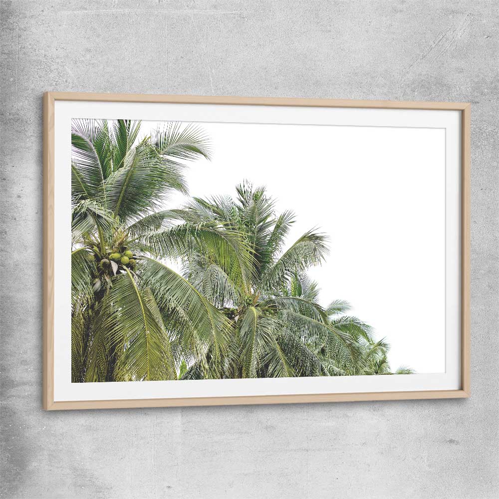 Floral print of Coconut Palms with raw oak glass front frame