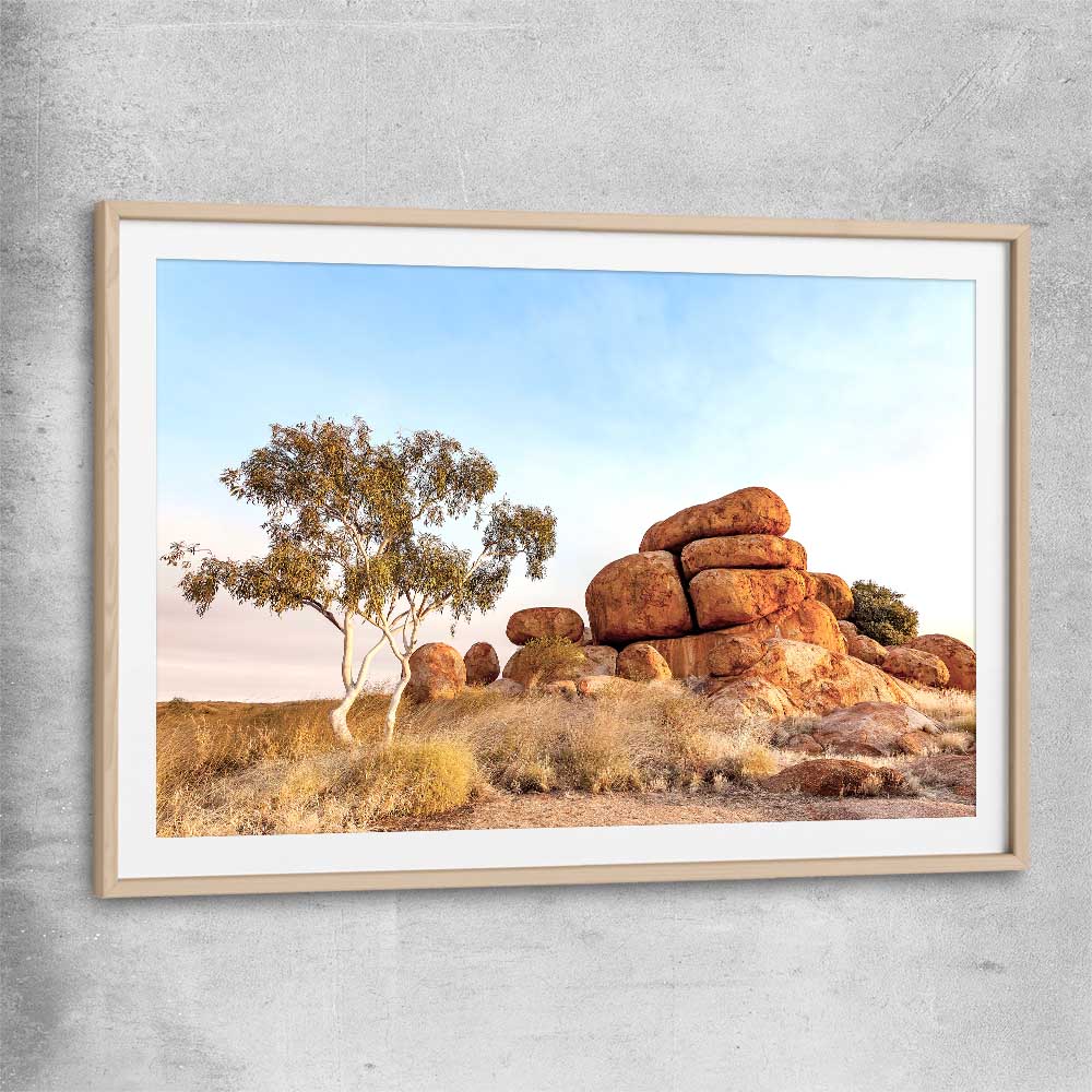 Floral print of Devils Marbles with raw oak glass front frame