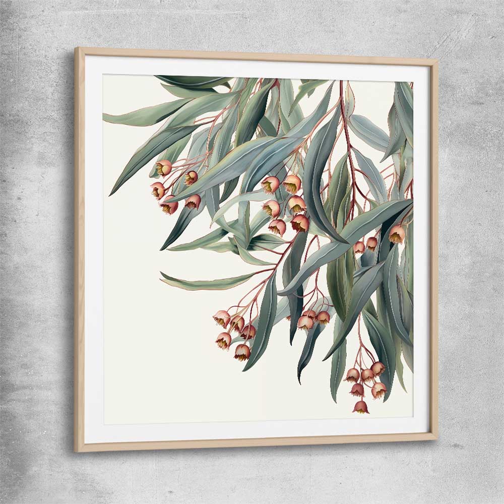 Floral print of Eucalyptus Illustration with raw oak glass front frame
