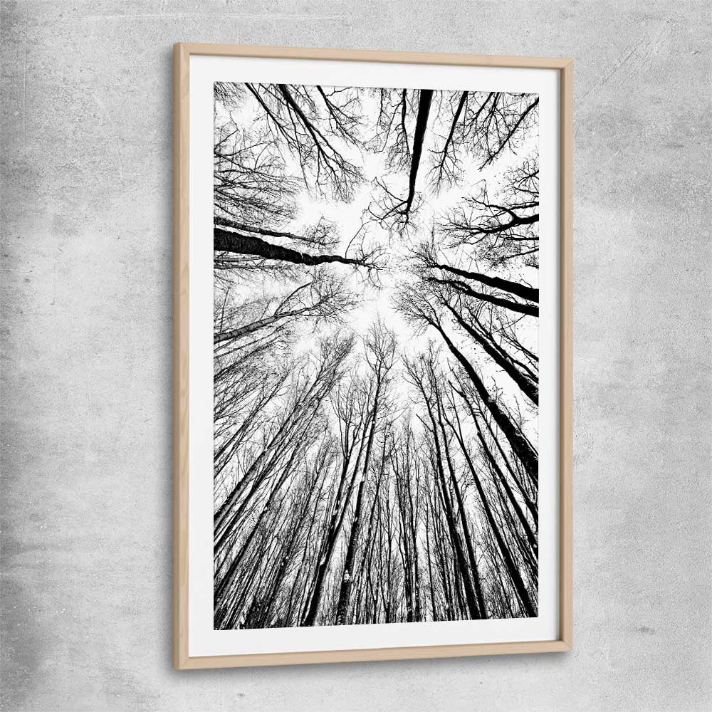 Floral print of Forest Sky with raw oak glass front frame