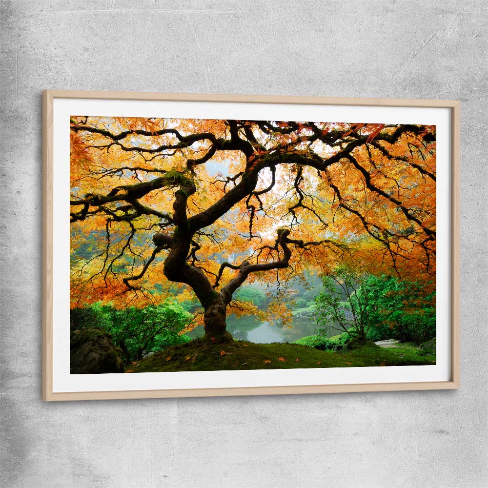 Floral print of Japanese Maple Tree with raw oak glass front frame